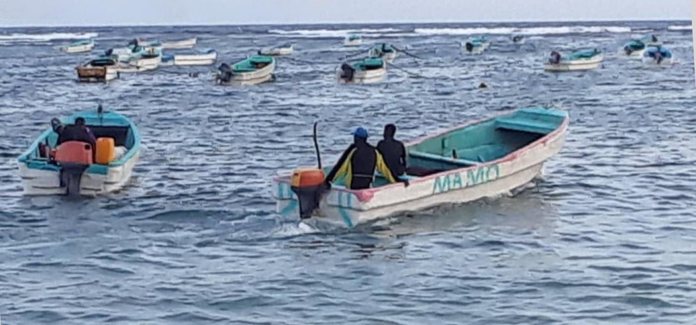 Somali fisheries future